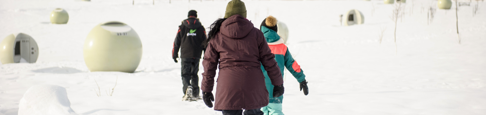 Visites guidees en raquettes TOHU