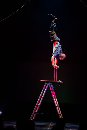 Carothibau Jerry Tremblay Bastringue 157