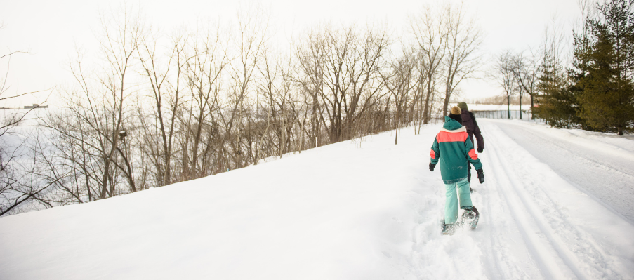 Sans titre 903 x 399 px 9